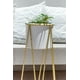 thumbnail image 2 of Gala Dorado Con Maceta Blanca S, 2 of 3