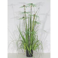 Corel - Planta Decorativa Pasto Con Papiro 180 Cm