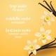 thumbnail image 3 of Spray Corporal Body Fantasies Vanilla 94 ml Fragancia Intensa, 3 of 3