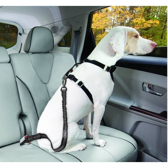 Genérico - Correa De Seguridad Para Perro En Auto