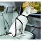 thumbnail image 1 of Correa de seguridad para perro en auto, 1 of 3