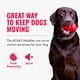 thumbnail image 5 of Dispensador Interactivo De Golosinas Wobbler De Juguete Para Perros Alimentador Lento, 5 of 8
