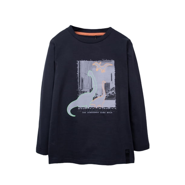 Polera Niño Manga Larga Estampado Dinosaurios Marengo