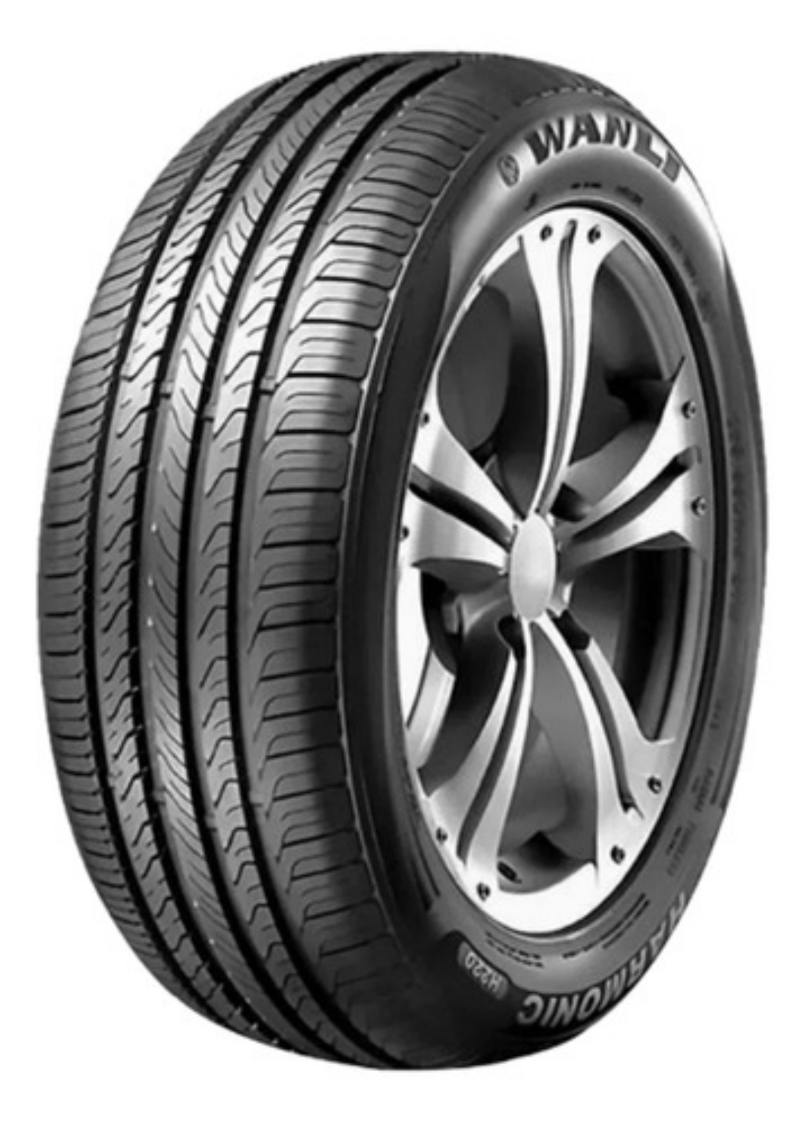 Wanli - Neumático 215/70 R16 100H H220