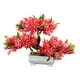 thumbnail image 1 of Árbol De Bonsái Artificial, Decoración De Plantas Artificiales Para Granja, Estante De Oficina, Rojo, 1 of 5