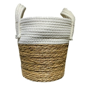 Vgo - Canasto Seagrass