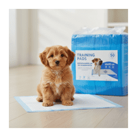 Genérico - Paquete 50 Unidades Sabanillas Desechables Para Entrenamiento Mascotas Perros 90X60 Cm