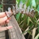 thumbnail image 1 of Gorgeous Crystal Quartz Crown Rhinestone Tiara - Perfect for Weddings & Parties!, 1 of 5