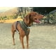 thumbnail image 3 of Nuevo Arnés Mascotas Oceano S Dog republic, 3 of 3