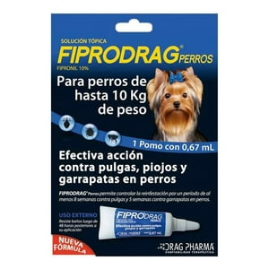 Veterinaria Drag Pharma - Fiprodrag Pipeta Antipulgas Y Garrapatas Perros Hasta 10Kg