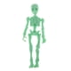 thumbnail image 5 of Hombre esqueleto de Halloween de cuerpo completo con grupos de manos para decoración Sodagreen, 5 of 5