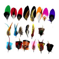 Bothyi - Plumas De Sombrero Para Sombreros Fedora Novedad Para Fiesta Sombrero De Vaquero Occidental Clip Pequeño Cantidad 20