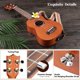 thumbnail image 5 of Ukulele CAHAYA 23" Kit de Concierto de Caoba para Principiantes, 5 of 8