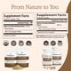 thumbnail image 3 of Suplemento Real Mushrooms Lion's Mane 1000 Mg 300 Cápsulas, 3 of 3