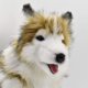 thumbnail image 4 of Peluche de Perro Husky Hansa 35 cm de Altura, 4 of 9