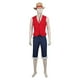 thumbnail image 1 of Disfraz Monkey D Luffy + Sombrero Incluido - Disfraz One Piece, 1 of 10
