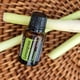 thumbnail image 2 of Aceite Esencial doTERRA Lemongrass 15 ml Cymbopogon 2 Pack, 2 of 3