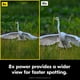 thumbnail image 5 of Binocular Nikon Action 8x42 con revestimiento multicapa, 5 of 9