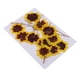 thumbnail image 4 of 12x real presionado flores secas gato cara crisantemo diy artesanía decoraciones, 4 of 5