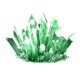 thumbnail image 2 of Crystal Growing Experiment Science Kit Para Ni?os Conduct Crystals Green, 2 of 5
