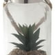 thumbnail image 3 of Planta Decorativa Fanal Suculenta Verde con Soga, 3 of 4