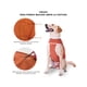 thumbnail image 3 of BODY COBRE KIMBA TRADICIONAL TALLA 12 (35 A 40 KG) naranja, 3 of 6
