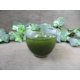 thumbnail image 5 of Aceite de Tamanu OPO 950 ml Puro prensado en frío 32 oz, 5 of 9