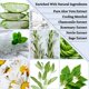 thumbnail image 5 of Gel helado de aloe vera, paquete de 2 unidades, Sun Laboratories Organic, 5 of 7