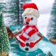 thumbnail image 4 of Kit de Manualidades Joyin para Construir Tu Muñeco de Nieve 9 Piezas DIY, 4 of 9