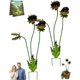 thumbnail image 1 of Estaca jardín planta carnívora caprichosa Venus atrapamoscas 63cm decoración césped, 1 of 8