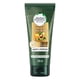 thumbnail image 1 of Acondicionador Herbal Essences Sin Sal Nutre E Hidrata Pequi & Aguacate, 1 of 6
