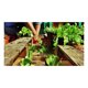 thumbnail image 4 of Semillas de Rúcula Cultivada Sobre Semillas Las Encinas, 4 of 4