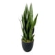 thumbnail image 1 of Sansevieria Verde 69cm Artificial, 1 of 3