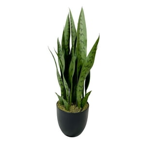 Corel - Sansevieria Verde 69Cm Artificial