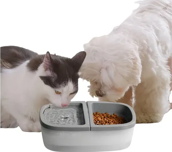 Genérico - Plato Doble Bebedero/Comida Mascotas