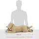 thumbnail image 2 of Peluche LotFancy Dog Golden Retriever de 66 cm, color beige, 2 of 7