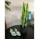 thumbnail image 3 of Planta artificial Sansevieria 47 cm, 3 of 3