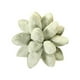 thumbnail image 2 of Throw Pillow Cojines Decorativos Para Dormir Cojines Divertidos Lovely Universal Para Sofá Verde, 2 of 5