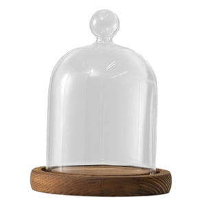 Magideal - Tarro De Campana De Cúpula De Vidrio Transparente Con Bandeja De Madera, Vitrina De Mesa Redonda Versátil, Diámetro De 9Cm Para Decoración Del Día De Estilo B