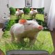 thumbnail image 1 of Pig Swine Bedding Duvet Cover Set Cute Animals Quilt Cover Soft Microfiber Bedroom Duvet Set, 1 of 3