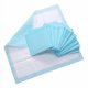 thumbnail image 3 of 50 Pañales Tapete Entrenador Aroma Perro Almohadillas 45x60 Celeste/blanco, 3 of 3