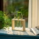thumbnail image 3 of Maceta colgante de cristal para mesa, estación de propagación, moderna maceta con 3 tubos de ensayo y capullos de flores en soporte de madera, terrario de mesa para esquejes de plantas hidropónicas, d, 3 of 6