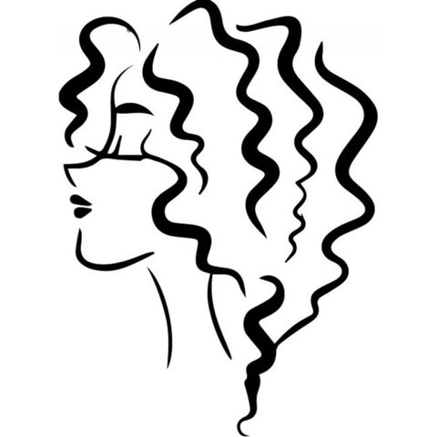 Rienda Libre Graphics - Decomural Curly Hair Hair Salon Ws-32595
