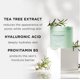 thumbnail image 4 of Almohadillas tónicas The Face Shop Tea Tree Exfoliant AHA BHA PHA, 4 of 6