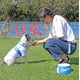 thumbnail image 3 of Camiseta para Perro Universidad Catolica - Talla XL, 3 of 8