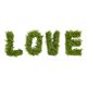 thumbnail image 1 of Decoración de pared artificial Nearly Natural LOVE de boj, 1 of 9