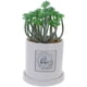 thumbnail image 1 of Planta Decorativa All You Need Love Maceta Blanca, 1 of 5