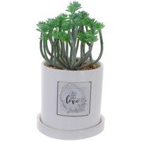 Mallorca - Planta Decorativa All You Need Love Maceta Blanca