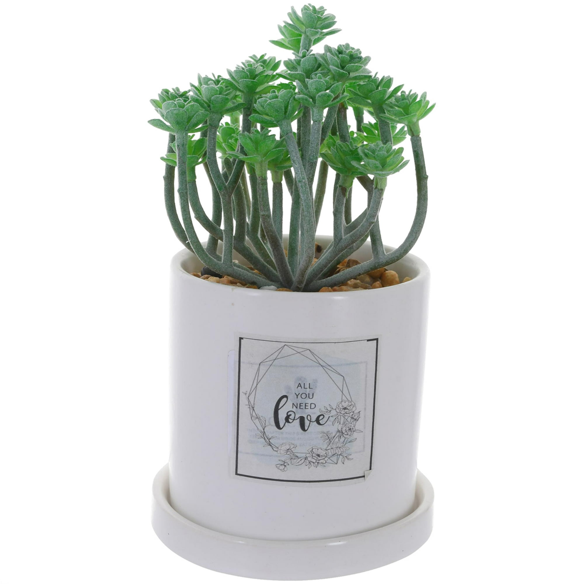 Mallorca - Planta Decorativa All You Need Love Maceta Blanca