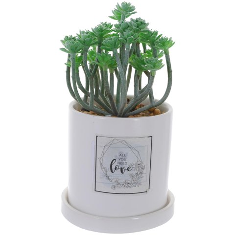 Mallorca - Planta Decorativa All You Need Love Maceta Blanca